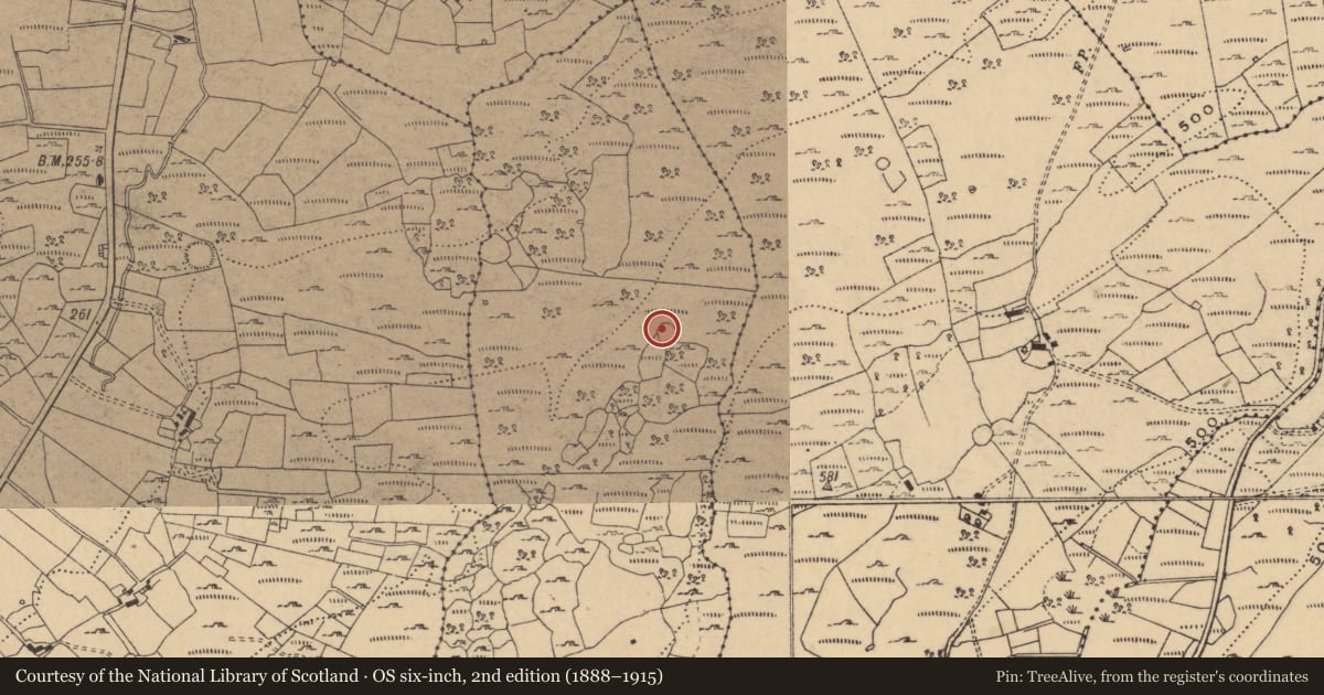 Ordnance Survey six-inch map, 2nd edition (1888–1915) covering the location of Enclosure, Oggal, County Cavan, with a pin at the register's coordinates