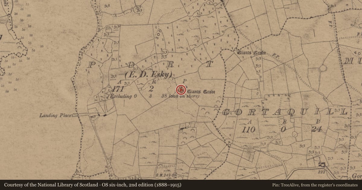 Ordnance Survey six-inch map, 2nd edition (1888–1915) covering the location of Ringfort - cashel, Port, County Cavan, with a pin at the register's coordinates
