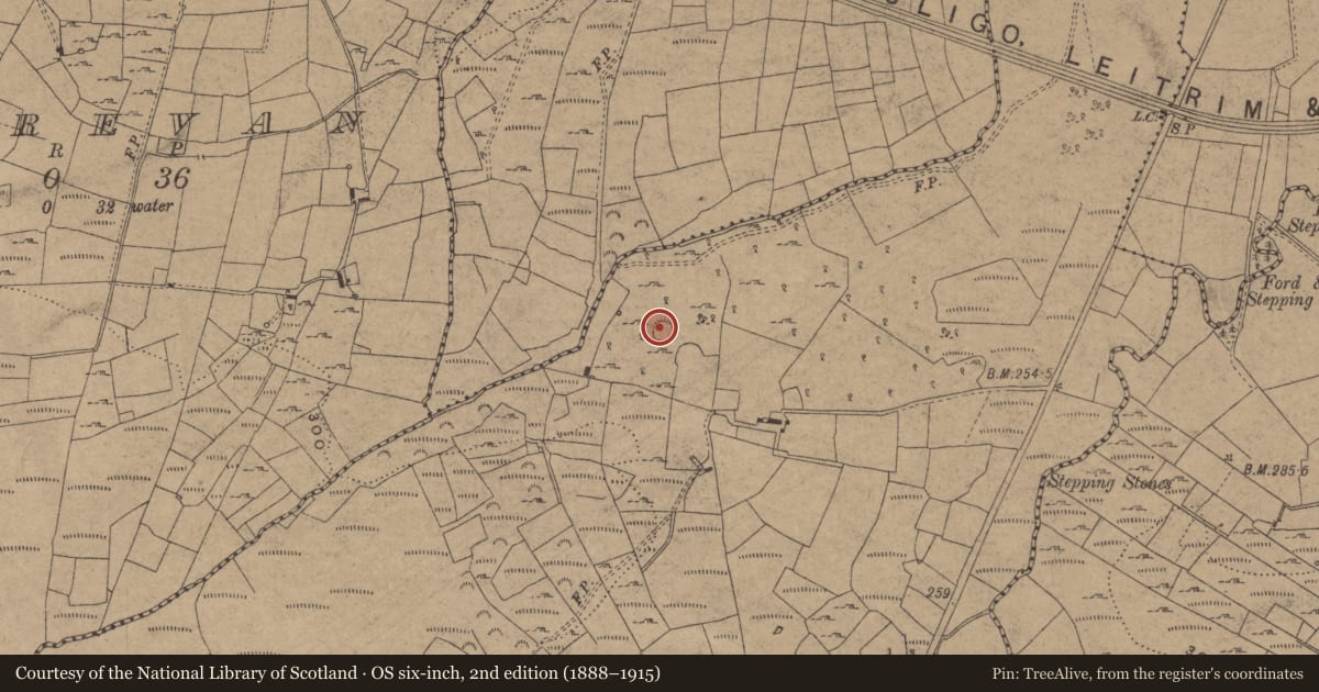Ordnance Survey six-inch map, 2nd edition (1888–1915) covering the location of Enclosure, Roo, County Cavan, with a pin at the register's coordinates