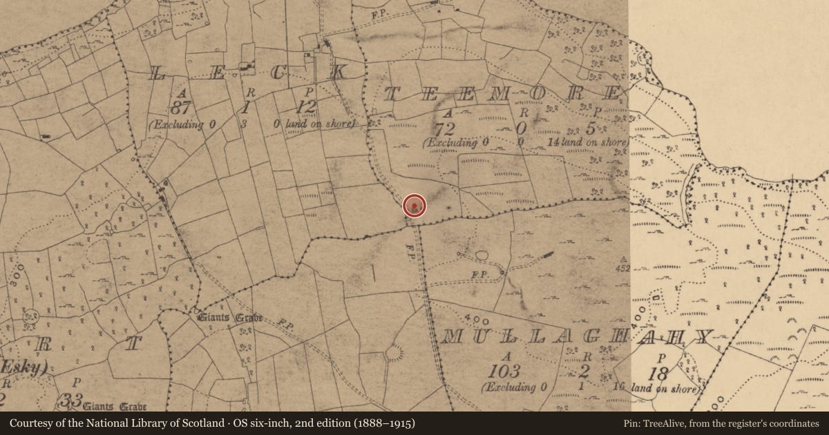 Ordnance Survey six-inch map, 2nd edition (1888–1915) covering the location of Ringfort - cashel, Teemore, County Cavan, with a pin at the register's coordinates