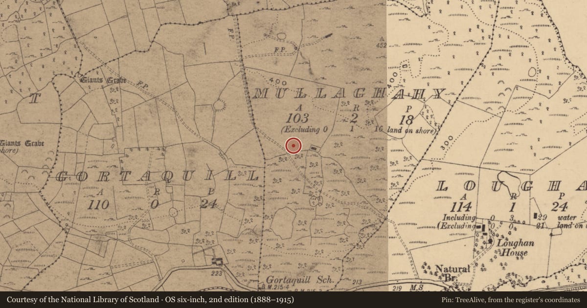Ordnance Survey six-inch map, 2nd edition (1888–1915) covering the location of Enclosure, Mullaghahy, County Cavan, with a pin at the register's coordinates