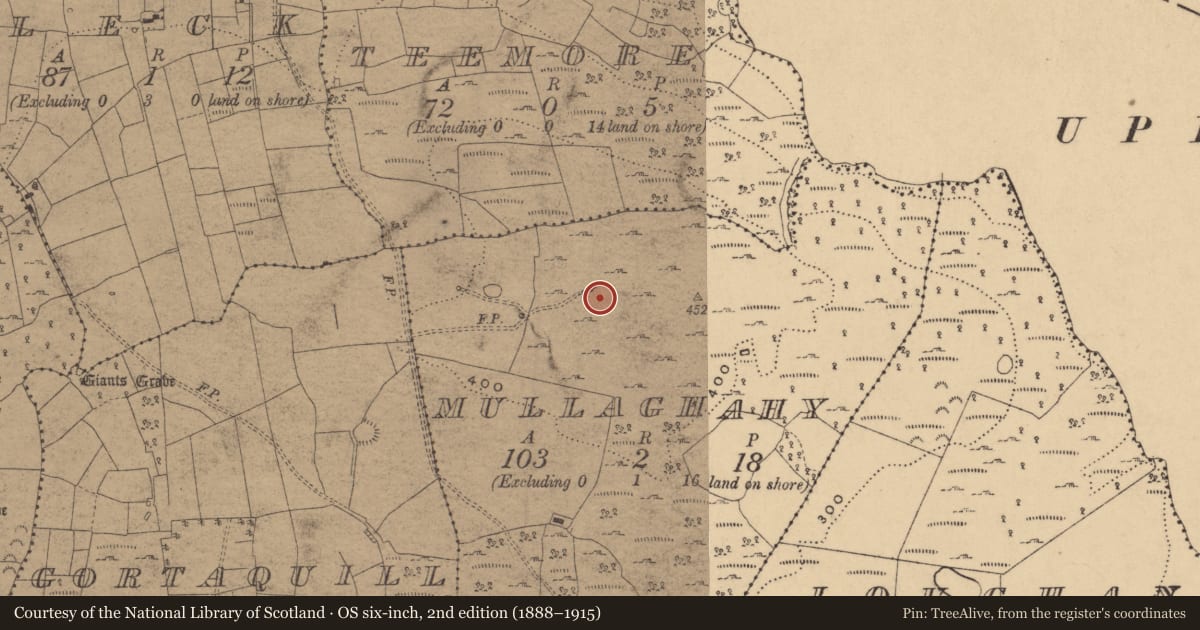 Ordnance Survey six-inch map, 2nd edition (1888–1915) covering the location of Hut site, Mullaghahy, County Cavan, with a pin at the register's coordinates