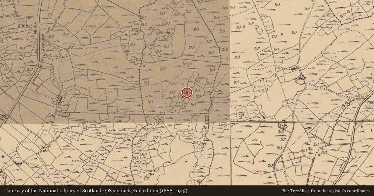 Ordnance Survey six-inch map, 2nd edition (1888–1915) covering the location of Hut site, Oggal, County Cavan, with a pin at the register's coordinates