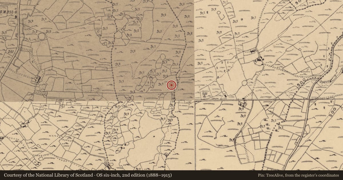Ordnance Survey six-inch map, 2nd edition (1888–1915) covering the location of House - medieval, Oggal, County Cavan, with a pin at the register's coordinates
