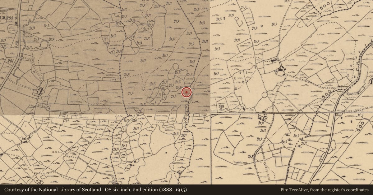 Ordnance Survey six-inch map, 2nd edition (1888–1915) covering the location of House - indeterminate date, Oggal, County Cavan, with a pin at the register's coordinates