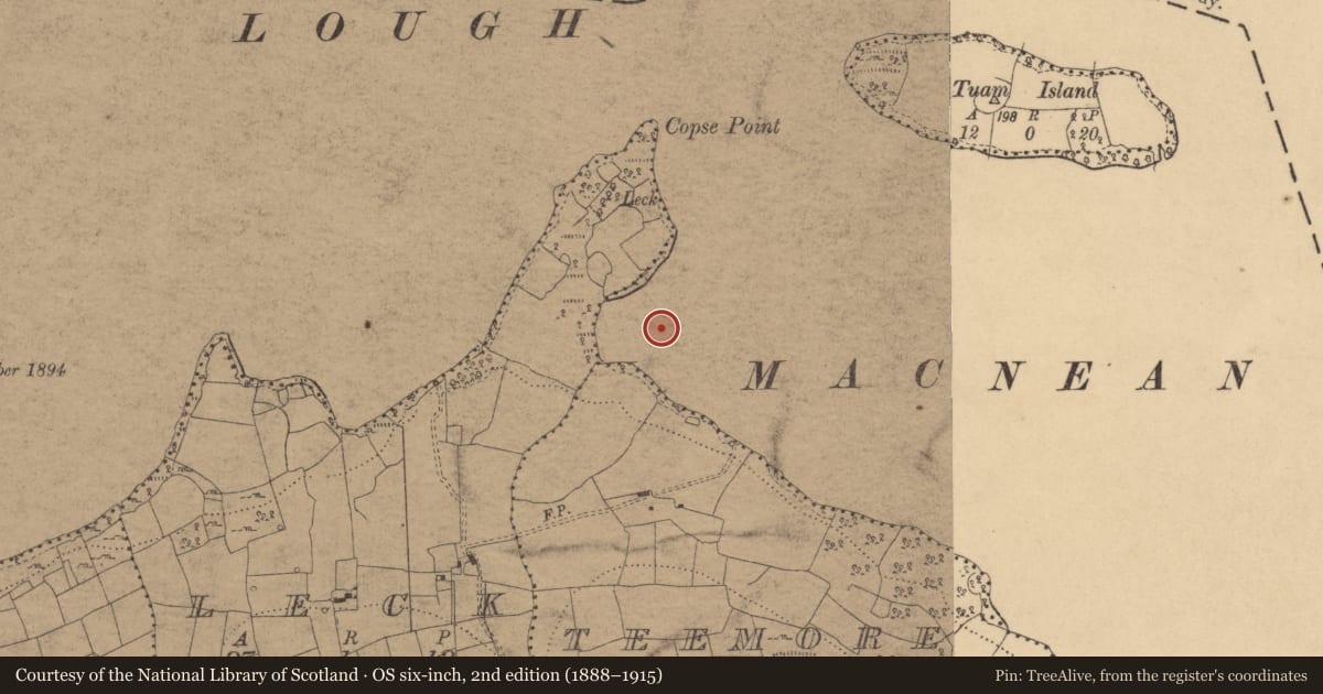 Ordnance Survey six-inch map, 2nd edition (1888–1915) covering the location of Crannog, Teemore, County Cavan, with a pin at the register's coordinates
