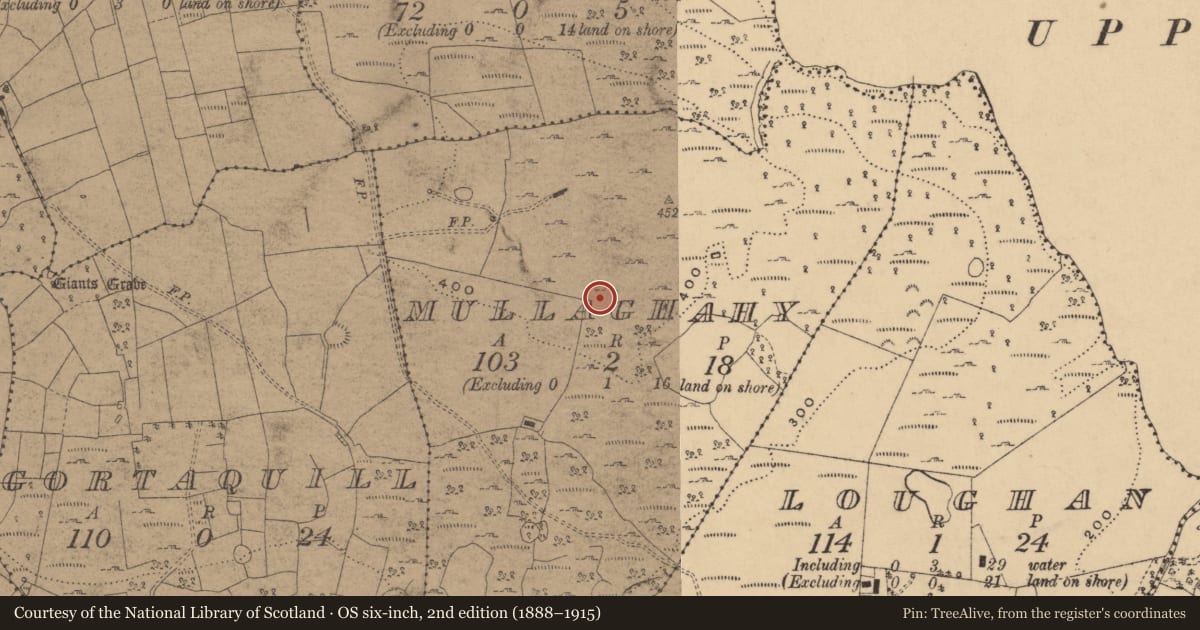 Ordnance Survey six-inch map, 2nd edition (1888–1915) covering the location of Field system, Teemore, County Cavan, with a pin at the register's coordinates