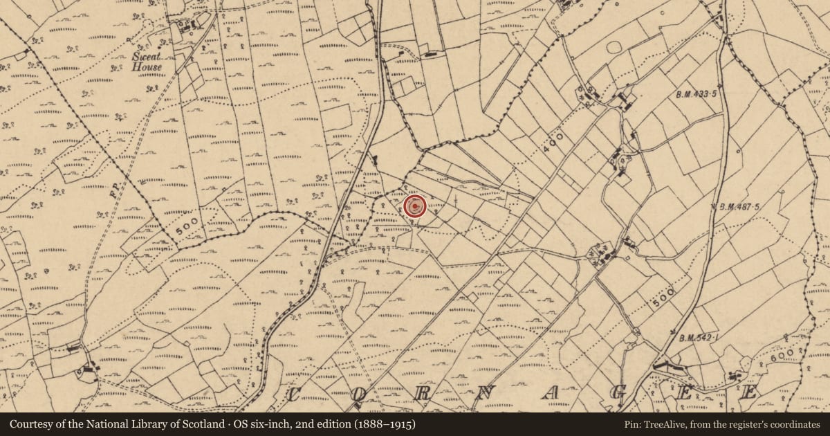 Ordnance Survey six-inch map, 2nd edition (1888–1915) covering the location of Ringfort - cashel, Cornagee, County Cavan, with a pin at the register's coordinates
