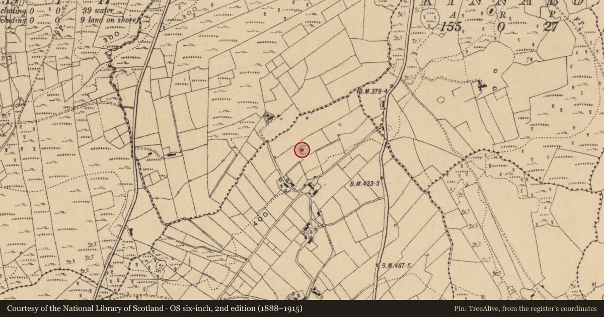 Ordnance Survey six-inch map, 2nd edition (1888–1915) covering the location of Enclosure, Cornagee, County Cavan, with a pin at the register's coordinates