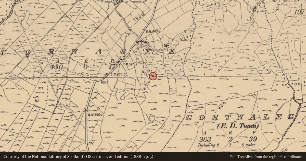 Ordnance Survey six-inch map, 2nd edition (1888–1915) covering the location of Sweathouse, Cornagee, County Cavan, with a pin at the register's coordinates