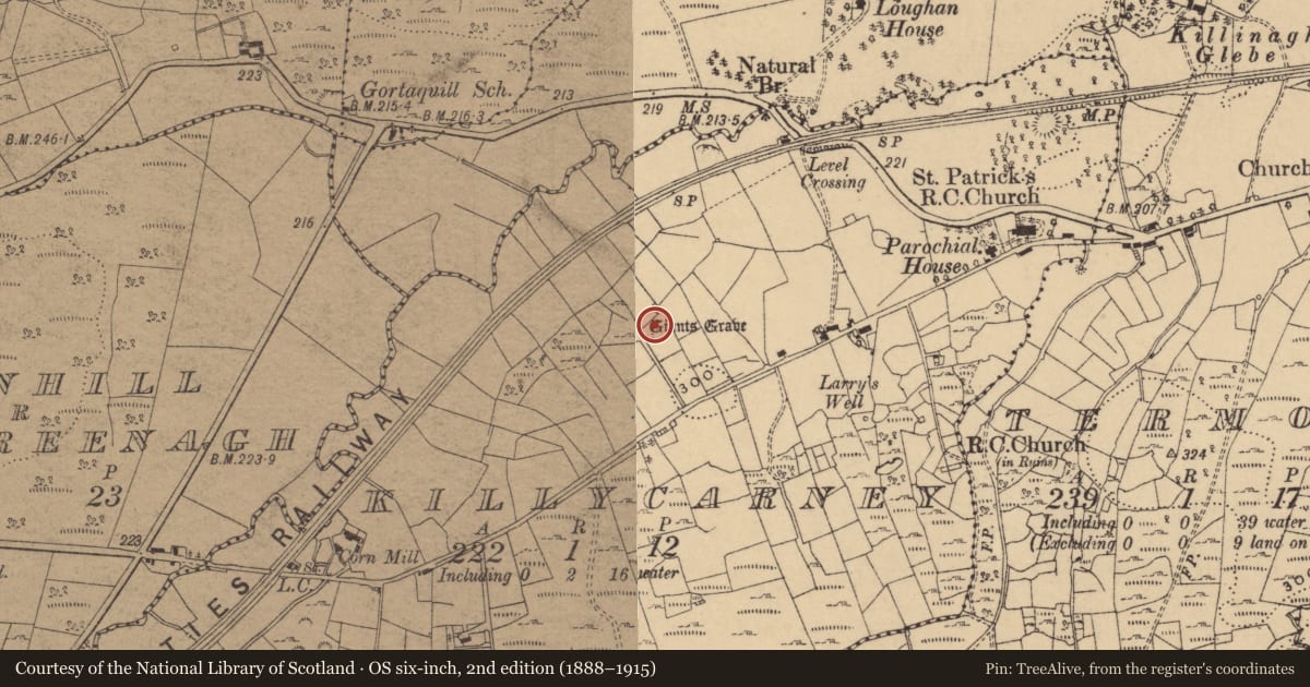Ordnance Survey six-inch map, 2nd edition (1888–1915) covering the location of Megalithic tomb - court tomb, Killycarney, County Cavan, with a pin at the register's coordinates