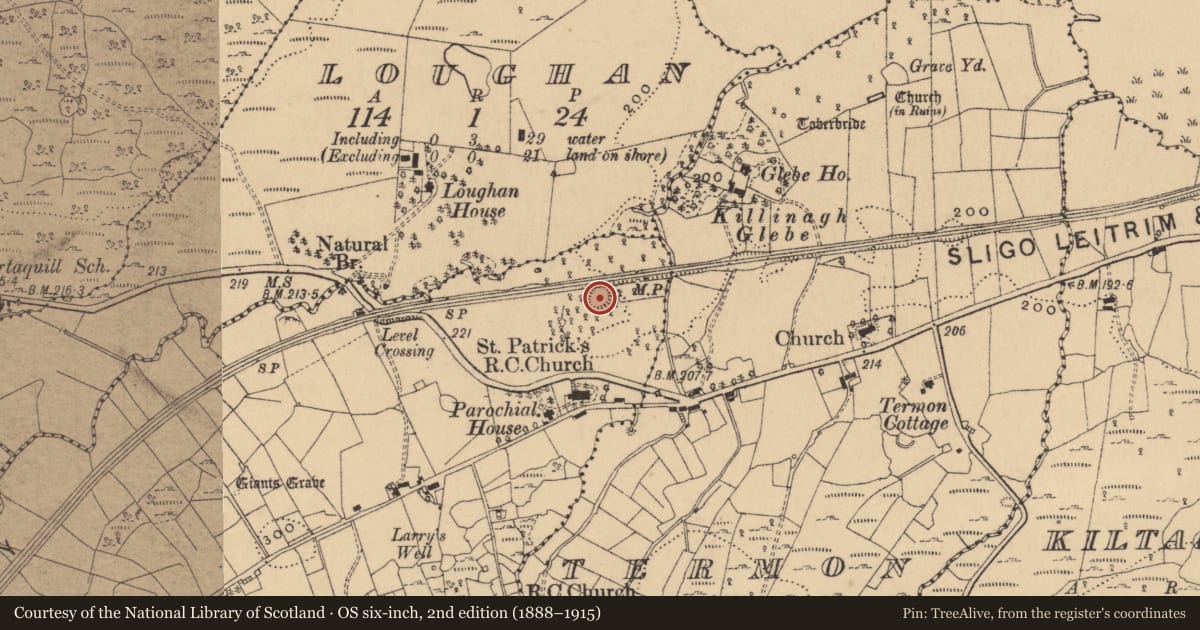Ordnance Survey six-inch map, 2nd edition (1888–1915) covering the location of Ringfort - rath, Killycarney, County Cavan, with a pin at the register's coordinates