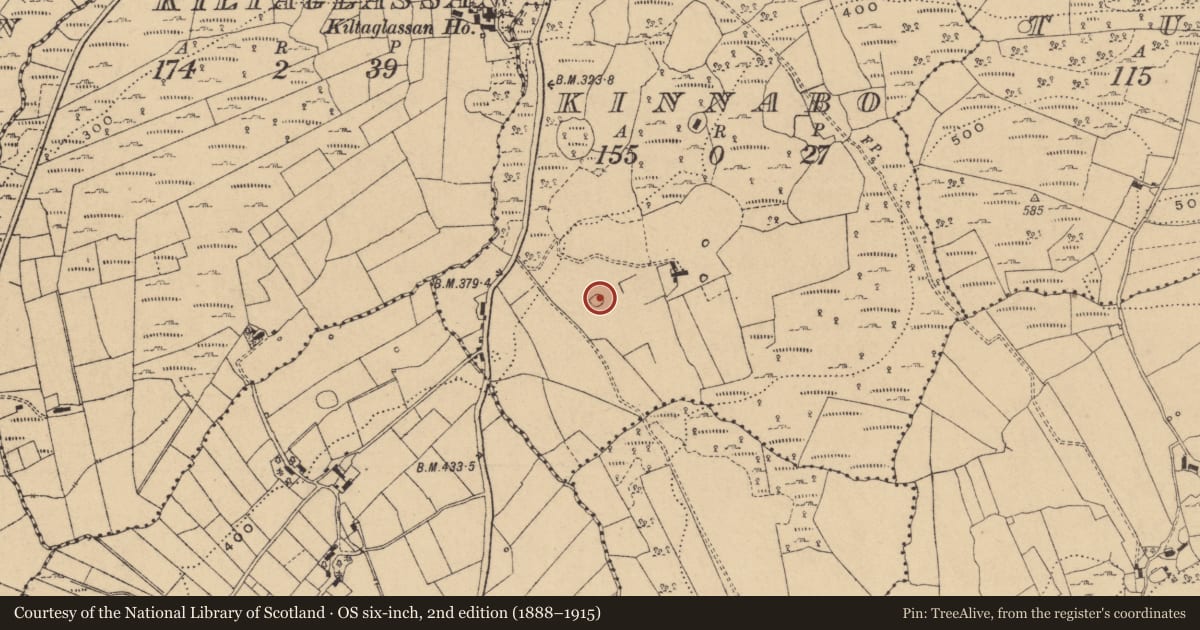 Ordnance Survey six-inch map, 2nd edition (1888–1915) covering the location of Enclosure, Kinnabo, County Cavan, with a pin at the register's coordinates