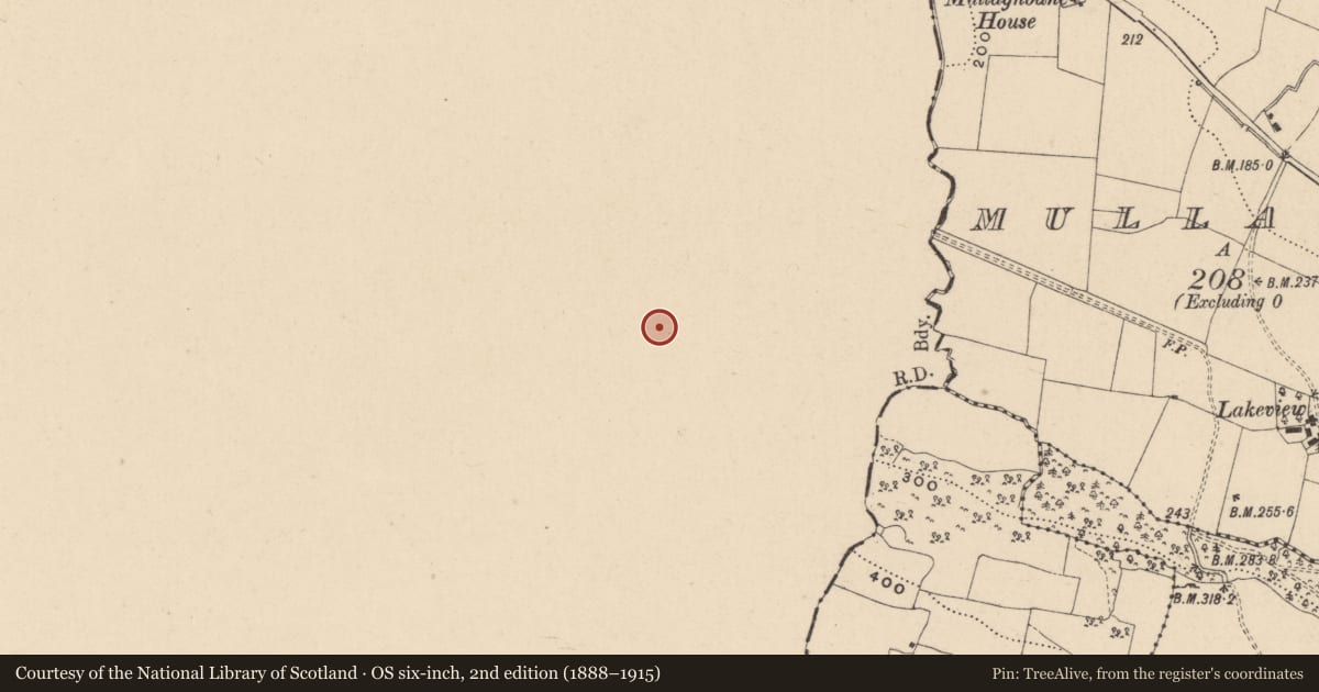 Ordnance Survey six-inch map, 2nd edition (1888–1915) covering the location of Enclosure, Lanliss, County Cavan, with a pin at the register's coordinates