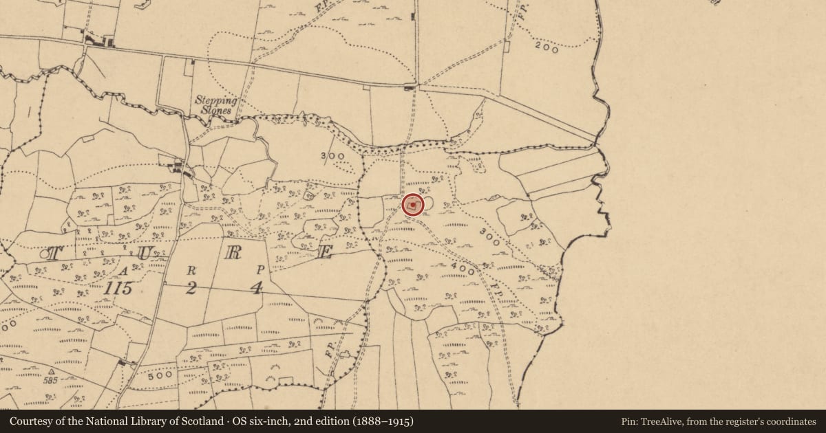 Ordnance Survey six-inch map, 2nd edition (1888–1915) covering the location of Enclosure, Lanliss, County Cavan, with a pin at the register's coordinates