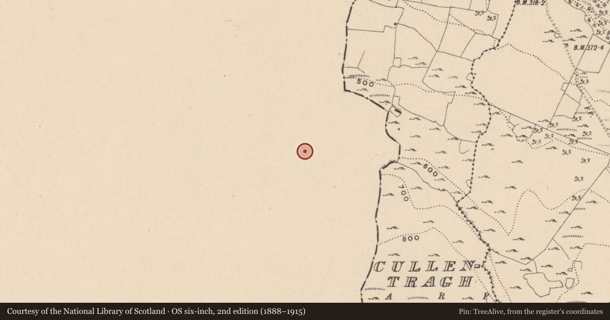 Ordnance Survey six-inch map, 2nd edition (1888–1915) covering the location of Field system, Lanliss, County Cavan, with a pin at the register's coordinates