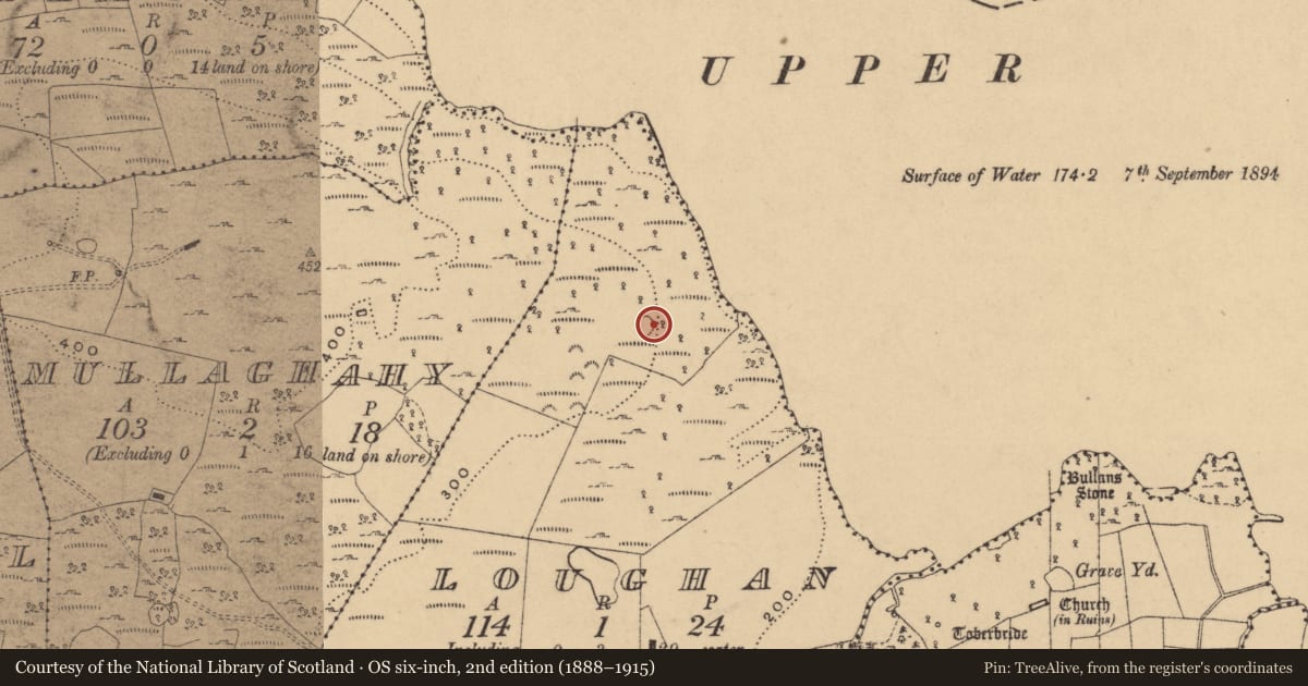 Ordnance Survey six-inch map, 2nd edition (1888–1915) covering the location of Enclosure, Loughan, County Cavan, with a pin at the register's coordinates