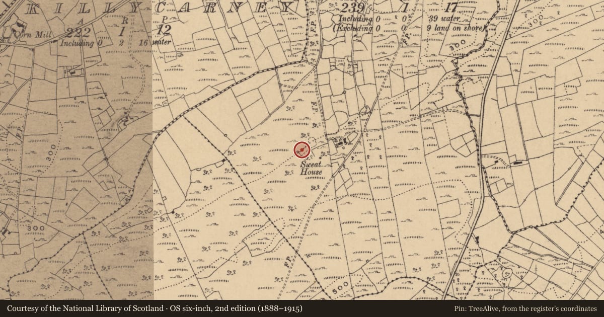 Ordnance Survey six-inch map, 2nd edition (1888–1915) covering the location of Sweathouse, Termon, County Cavan, with a pin at the register's coordinates