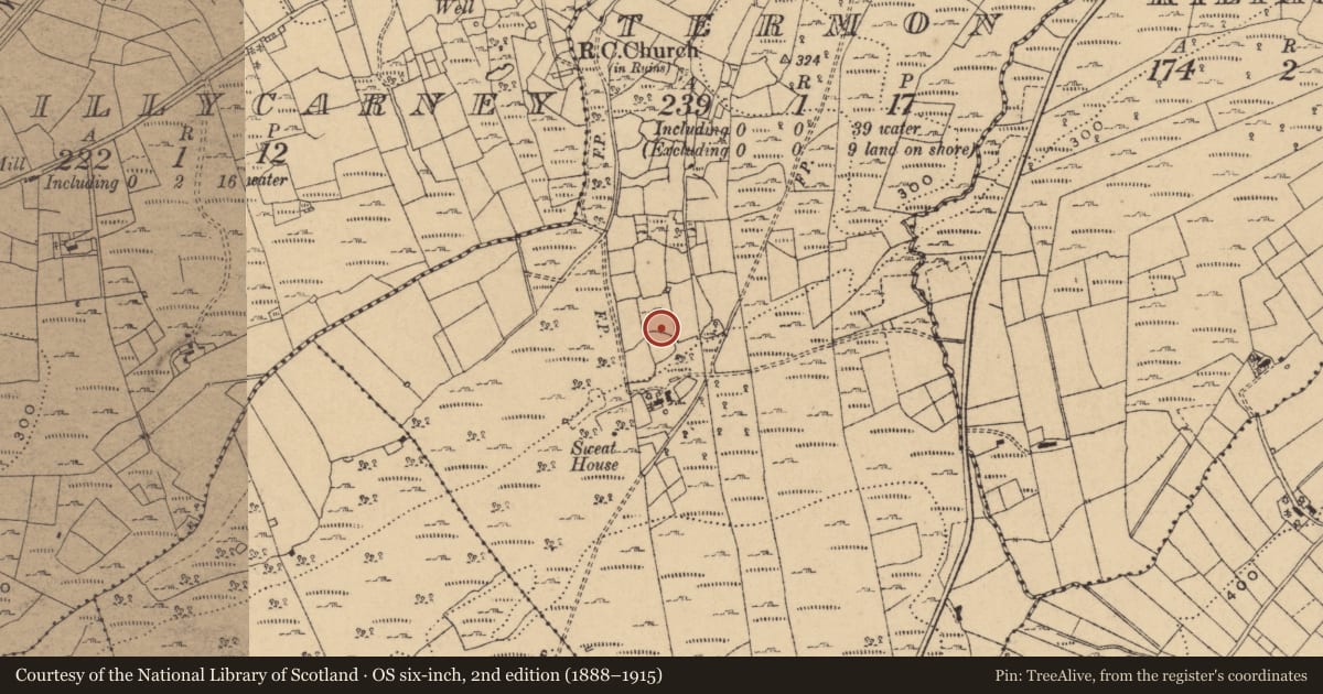 Ordnance Survey six-inch map, 2nd edition (1888–1915) covering the location of Cairn - unclassified, Termon, County Cavan, with a pin at the register's coordinates