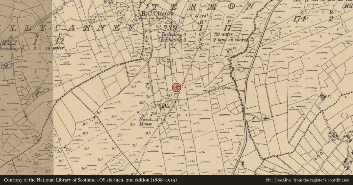 Ordnance Survey six-inch map, 2nd edition (1888–1915) covering the location of Ringfort - cashel, Termon, County Cavan, with a pin at the register's coordinates