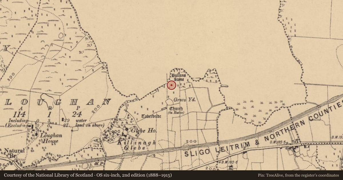Ordnance Survey six-inch map, 2nd edition (1888–1915) covering the location of Enclosure, Termon, County Cavan, with a pin at the register's coordinates