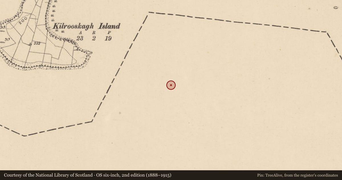 Ordnance Survey six-inch map, 2nd edition (1888–1915) covering the location of Ringfort - cashel, Tuam, County Cavan, with a pin at the register's coordinates