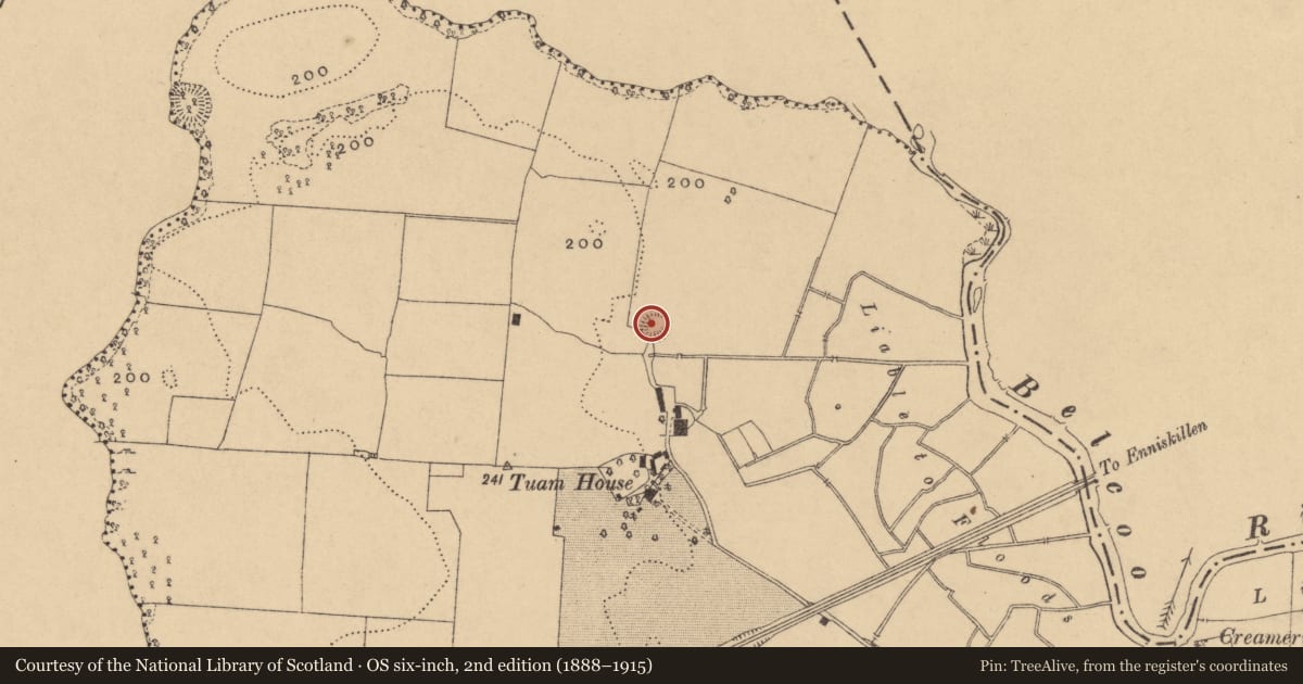 Ordnance Survey six-inch map, 2nd edition (1888–1915) covering the location of Ringfort - cashel, Tuam, County Cavan, with a pin at the register's coordinates