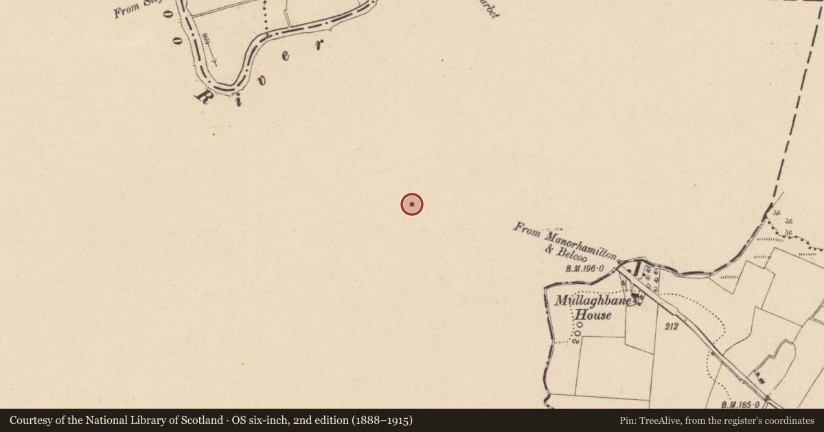 Ordnance Survey six-inch map, 2nd edition (1888–1915) covering the location of Ringfort - unclassified, Tuam, County Cavan, with a pin at the register's coordinates