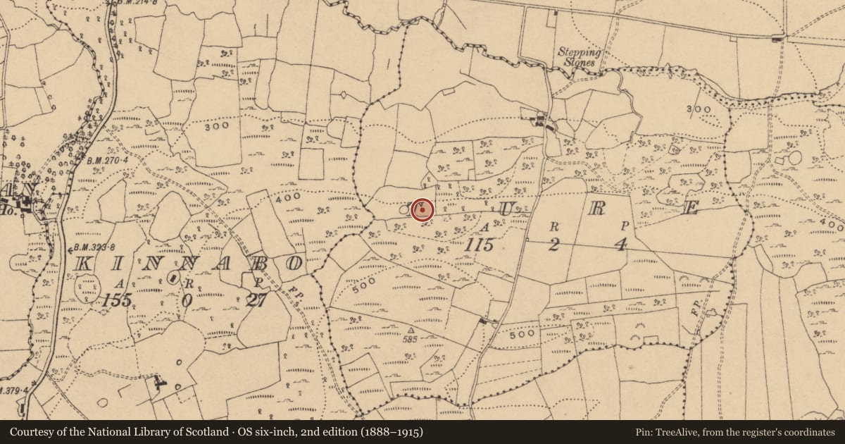 Ordnance Survey six-inch map, 2nd edition (1888–1915) covering the location of Enclosure, Ture, County Cavan, with a pin at the register's coordinates