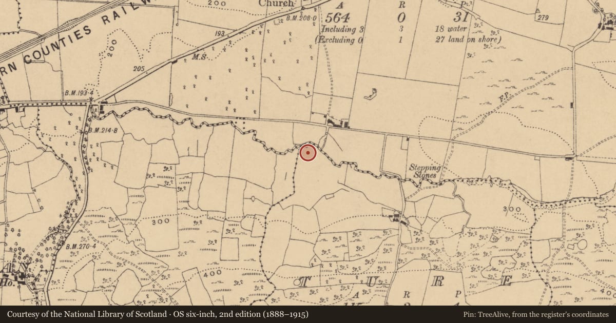 Ordnance Survey six-inch map, 2nd edition (1888–1915) covering the location of Ringfort - rath, Ture, County Cavan, with a pin at the register's coordinates