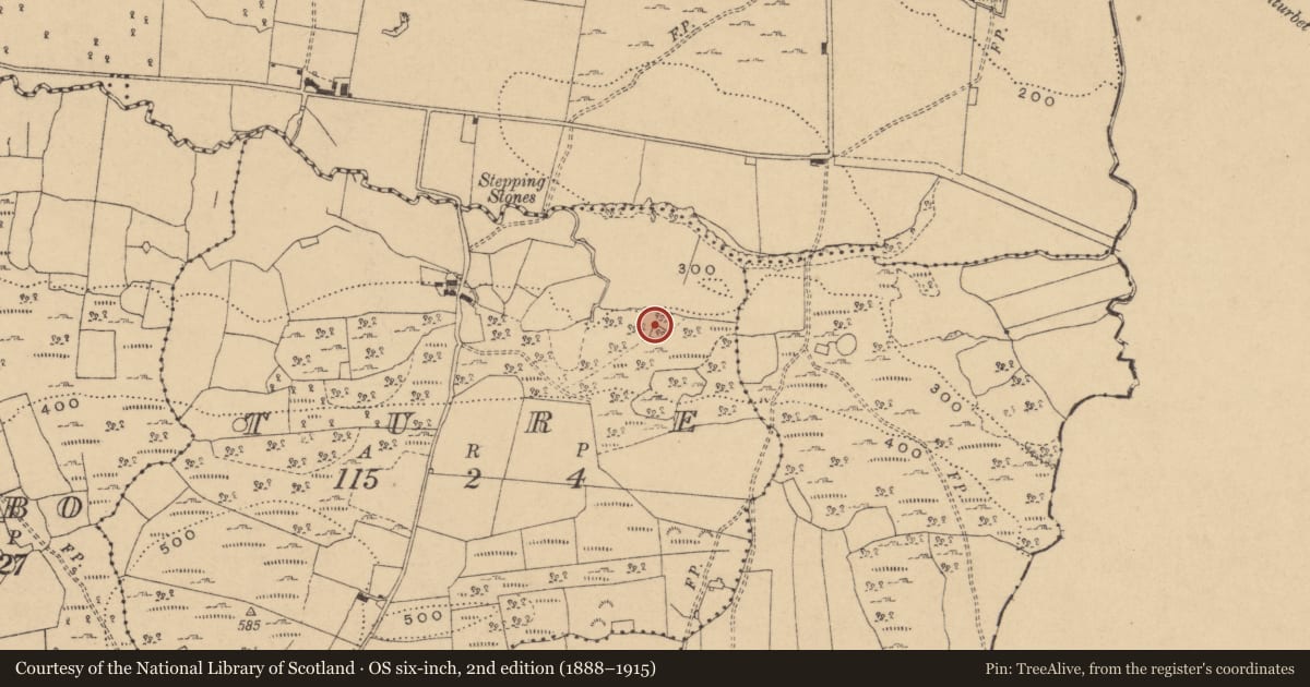 Ordnance Survey six-inch map, 2nd edition (1888–1915) covering the location of Enclosure, Ture, County Cavan, with a pin at the register's coordinates