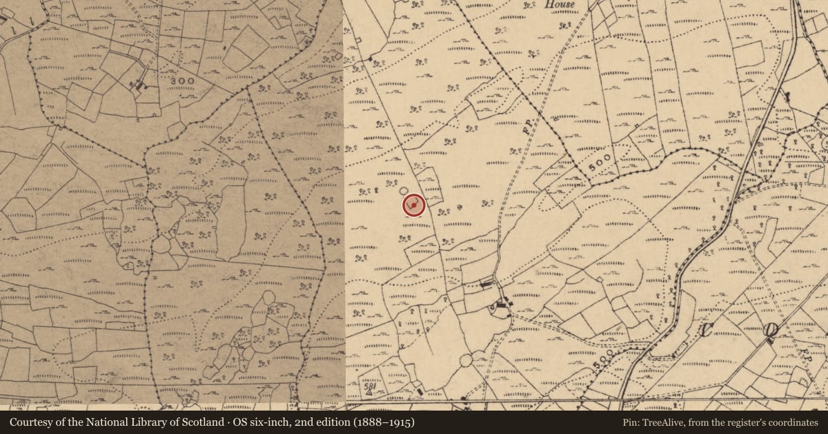 Ordnance Survey six-inch map, 2nd edition (1888–1915) covering the location of Enclosure, Unshogagh, County Cavan, with a pin at the register's coordinates
