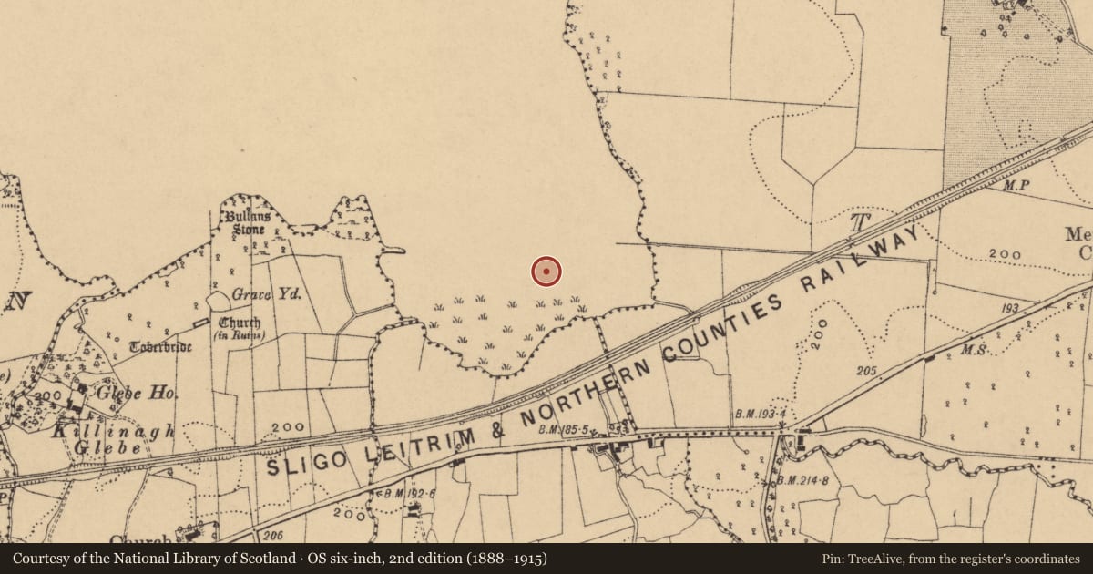 Ordnance Survey six-inch map, 2nd edition (1888–1915) covering the location of Crannog, Lough MacNean Upper, County Cavan, with a pin at the register's coordinates