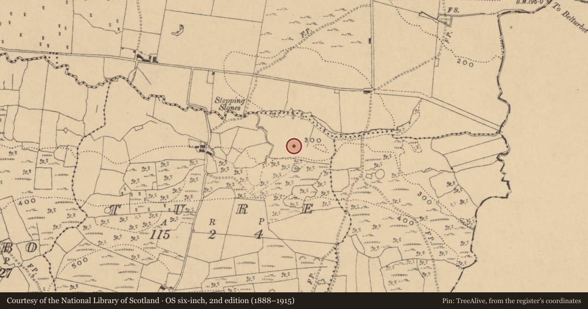 Ordnance Survey six-inch map, 2nd edition (1888–1915) covering the location of Fulacht fia, Ture, County Cavan, with a pin at the register's coordinates