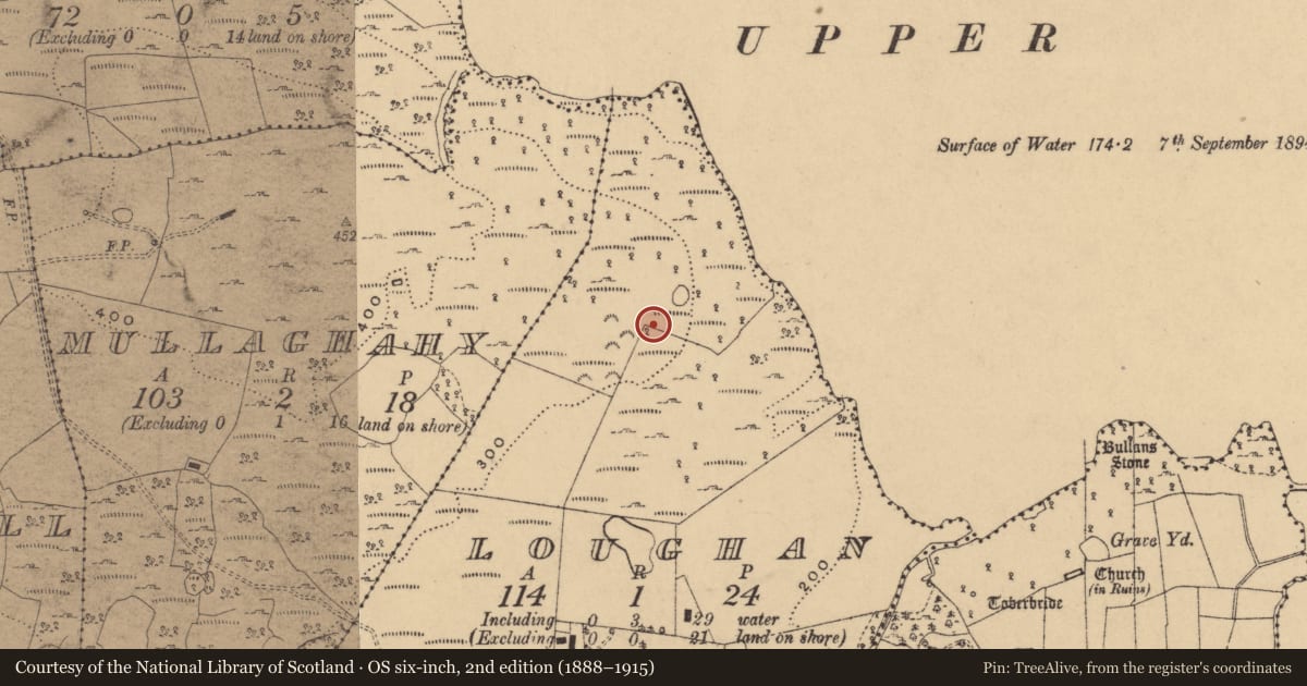 Ordnance Survey six-inch map, 2nd edition (1888–1915) covering the location of Ringfort - cashel, Loughan, County Cavan, with a pin at the register's coordinates