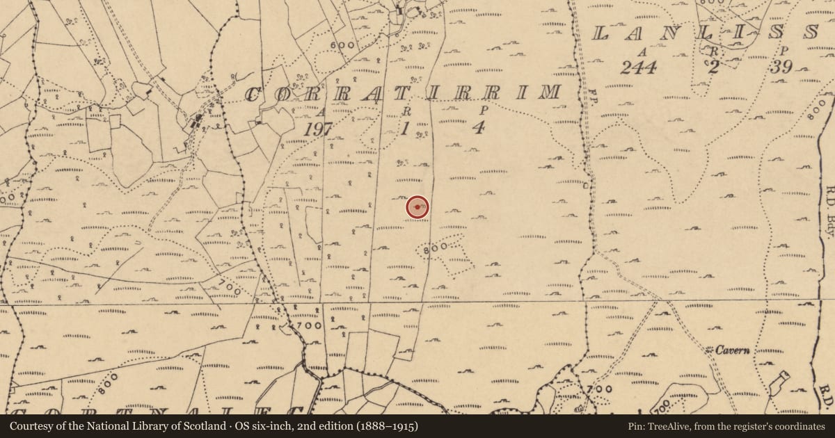 Ordnance Survey six-inch map, 2nd edition (1888–1915) covering the location of Hut site, Corratirrim, County Cavan, with a pin at the register's coordinates