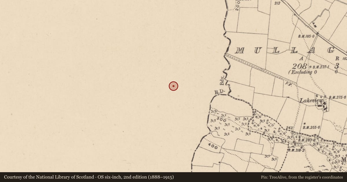 Ordnance Survey six-inch map, 2nd edition (1888–1915) covering the location of Hut site, Lanliss, County Cavan, with a pin at the register's coordinates