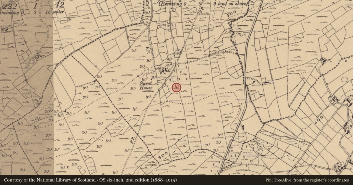 Ordnance Survey six-inch map, 2nd edition (1888–1915) covering the location of Hut site, Termon, County Cavan, with a pin at the register's coordinates