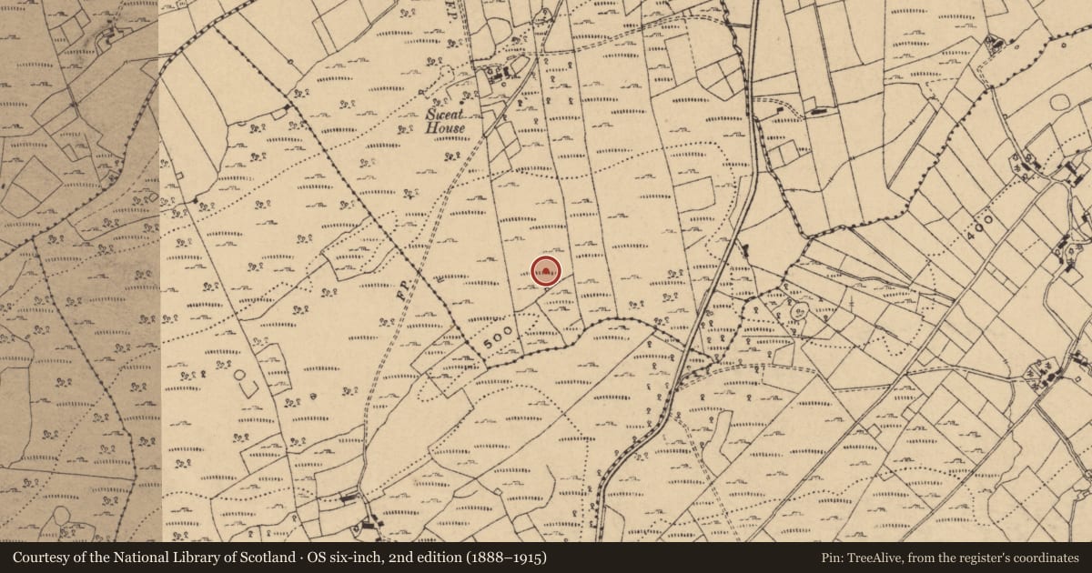 Ordnance Survey six-inch map, 2nd edition (1888–1915) covering the location of Settlement cluster, Termon, County Cavan, with a pin at the register's coordinates