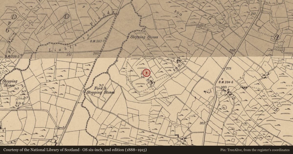 Ordnance Survey six-inch map, 2nd edition (1888–1915) covering the location of Ringfort - cashel, Barran, County Cavan, with a pin at the register's coordinates