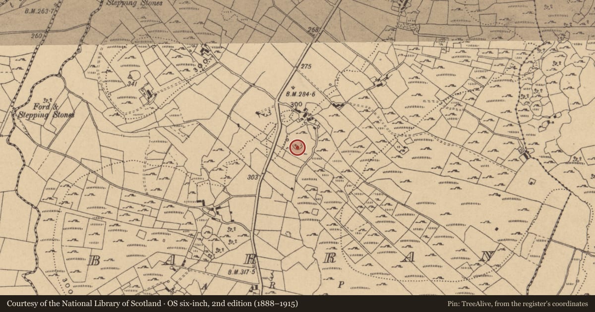 Ordnance Survey six-inch map, 2nd edition (1888–1915) covering the location of Ringfort - cashel, Barran, County Cavan, with a pin at the register's coordinates