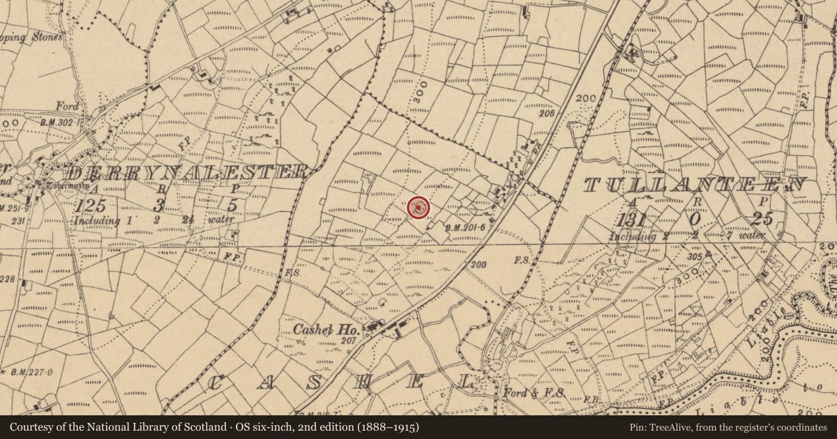 Ordnance Survey six-inch map, 2nd edition (1888–1915) covering the location of Enclosure, Cashel, County Cavan, with a pin at the register's coordinates