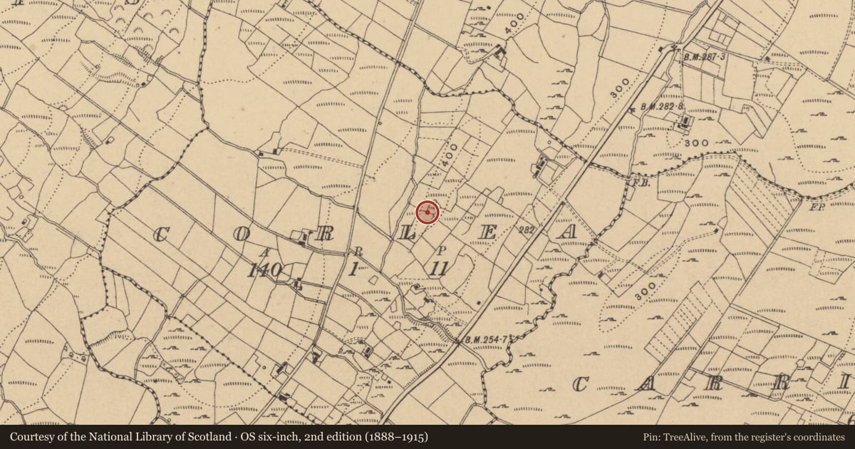 Ordnance Survey six-inch map, 2nd edition (1888–1915) covering the location of Enclosure, Corlea, County Cavan, with a pin at the register's coordinates