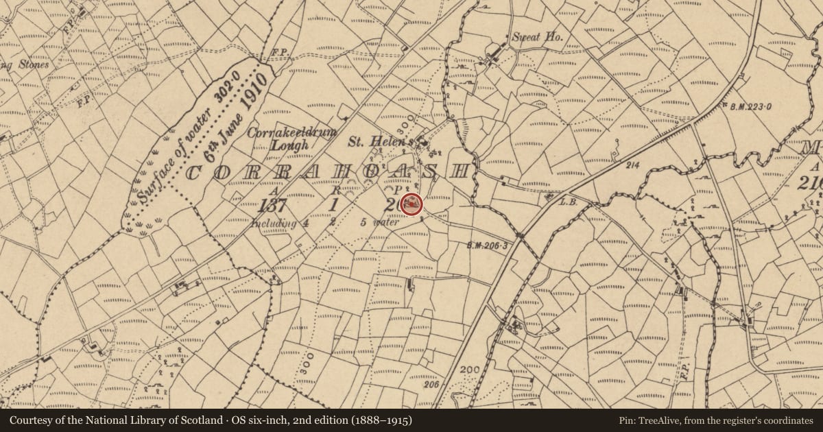 Ordnance Survey six-inch map, 2nd edition (1888–1915) covering the location of Enclosure, Corrahoash, County Cavan, with a pin at the register's coordinates