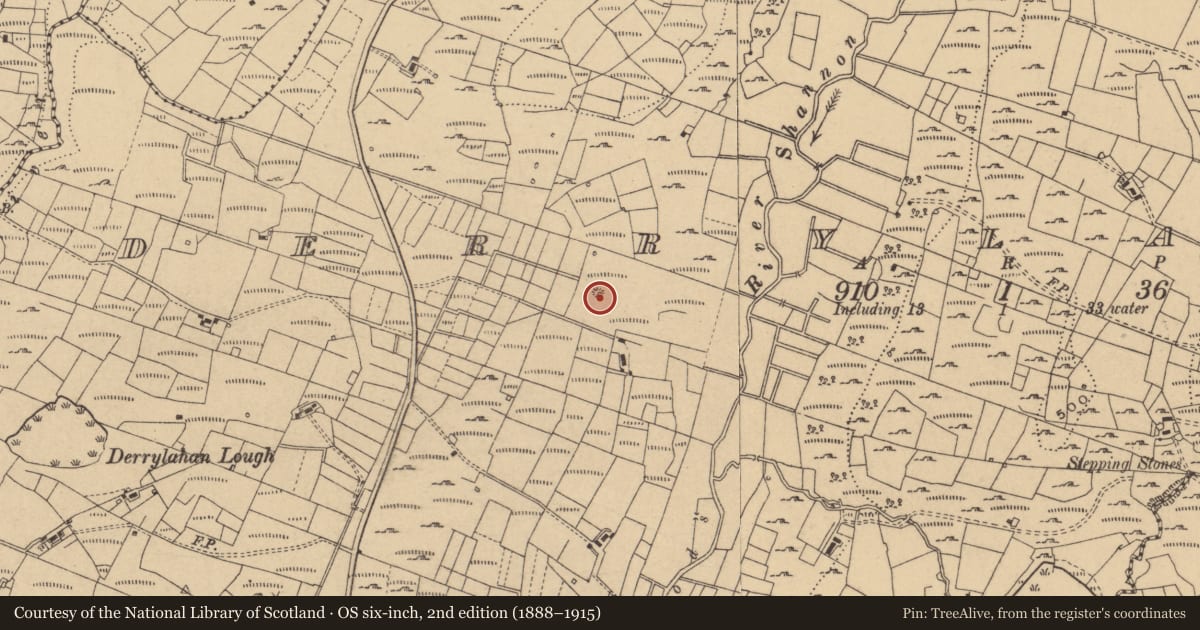 Ordnance Survey six-inch map, 2nd edition (1888–1915) covering the location of Mound, Derrylahan, County Cavan, with a pin at the register's coordinates