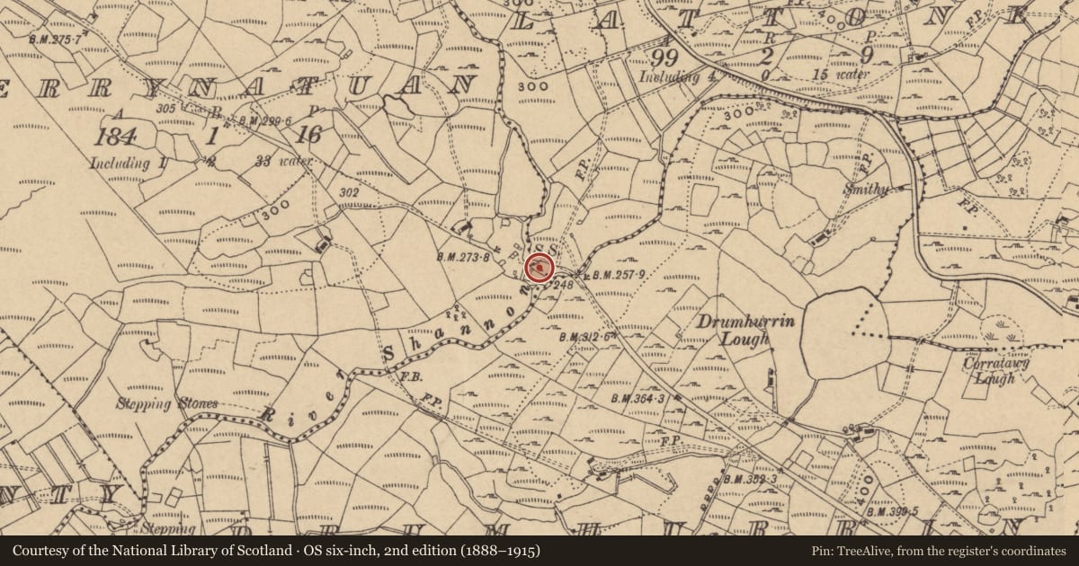 Ordnance Survey six-inch map, 2nd edition (1888–1915) covering the location of Water mill - unclassified, Derrynatuan, County Cavan, with a pin at the register's coordinates