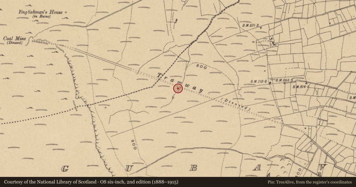 Ordnance Survey six-inch map, 2nd edition (1888–1915) covering the location of Tramway, Gubaveeny, Monesk, County Cavan, with a pin at the register's coordinates