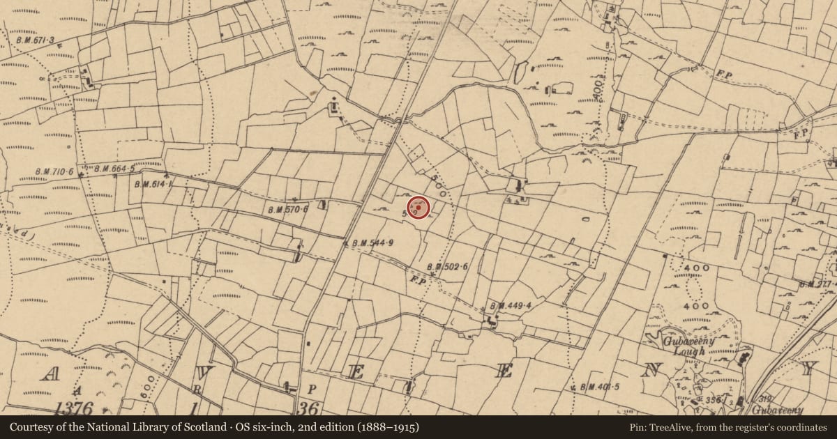 Ordnance Survey six-inch map, 2nd edition (1888–1915) covering the location of Ringfort - cashel, Gubaveeny, County Cavan, with a pin at the register's coordinates