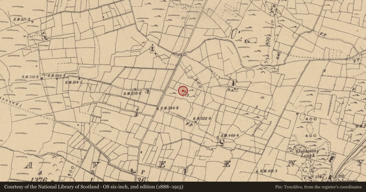 Ordnance Survey six-inch map, 2nd edition (1888–1915) covering the location of Mass-rock, Gubaveeny, County Cavan, with a pin at the register's coordinates