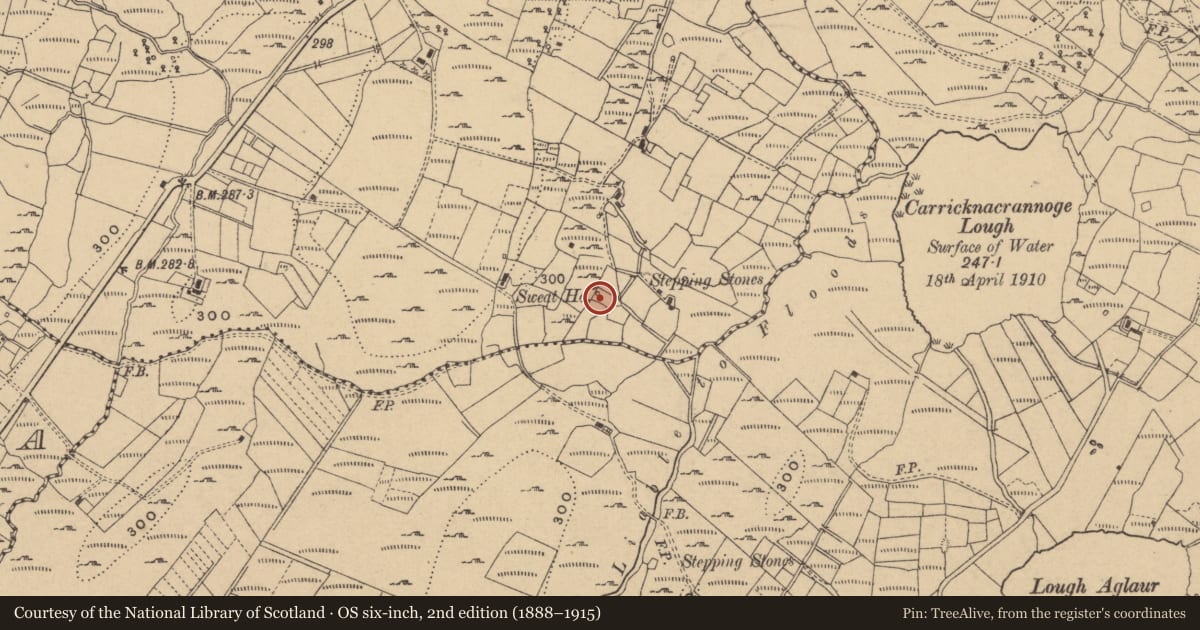 Ordnance Survey six-inch map, 2nd edition (1888–1915) covering the location of Sweathouse, Gubaveeny, County Cavan, with a pin at the register's coordinates